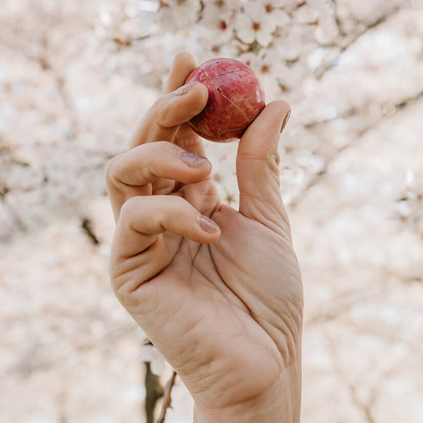 Coaching persoonlijke ontwikkeling en spiritualiteit
